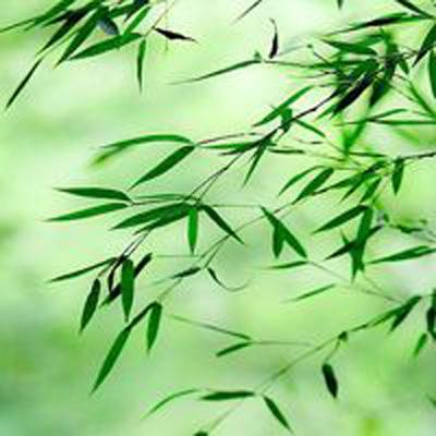 光影对决手游安趣网下载